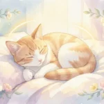 Prayers for Sick Cat